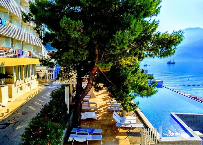 Carine Hotel Delfin